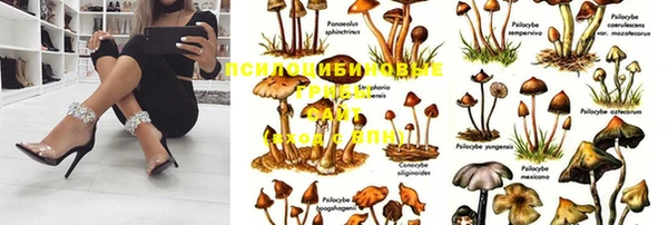 мескалин Лихославль