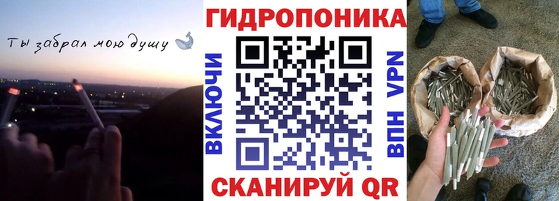 как найти   Ясный  KRAKEN вход  Каннабис AK-47 